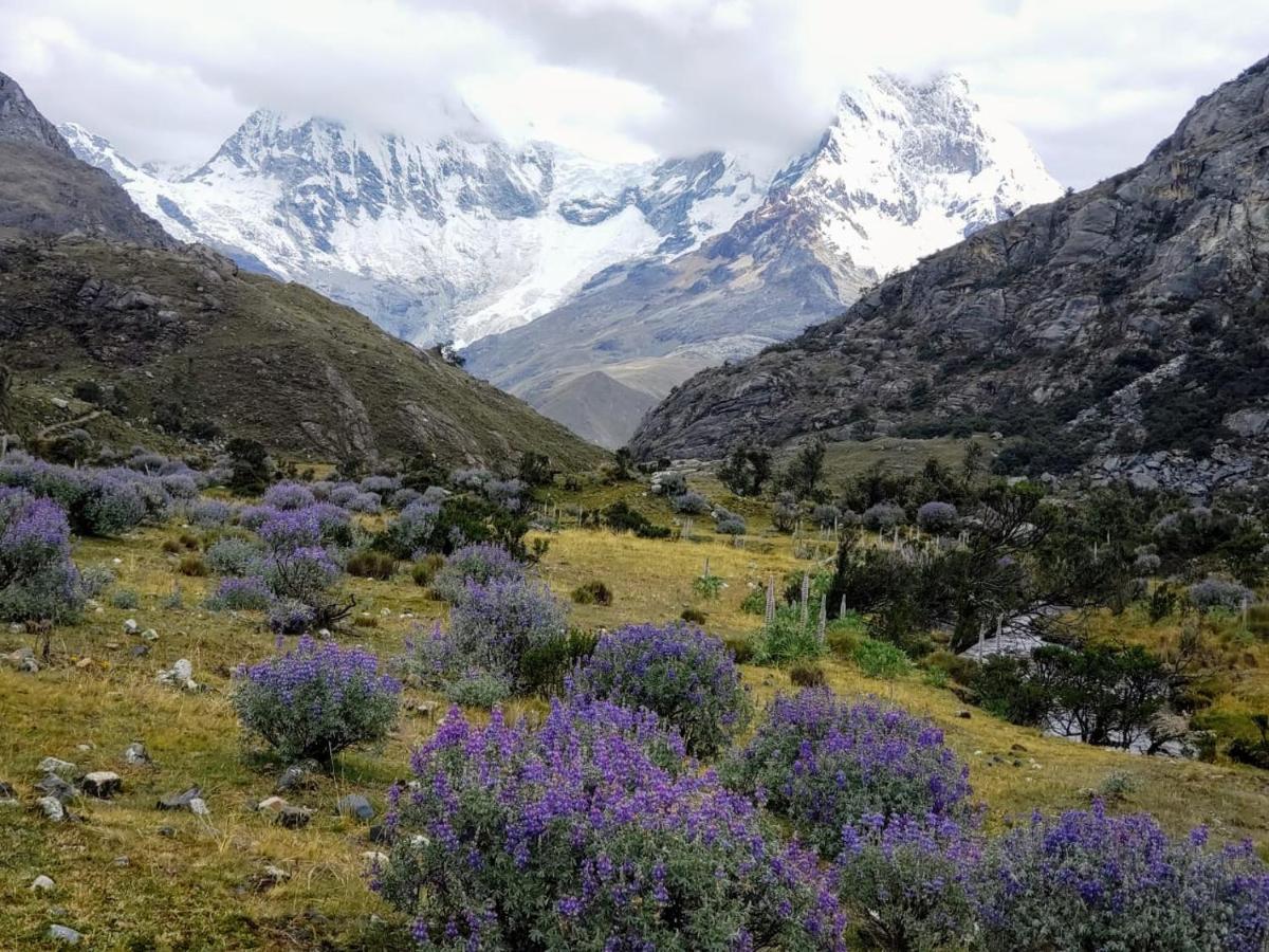 Lhotse Hostel B&B 와라스 외부 사진